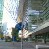 rent colorado: denver