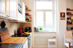 apts colorado: kitchen2