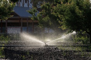 apts colorado: sprinklers