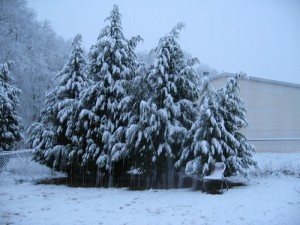 apts colorado: snow